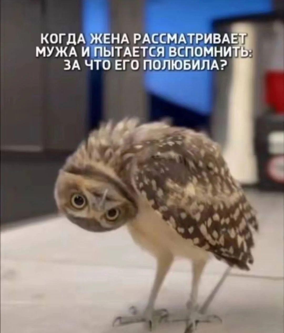 КОГДА ЖЕНА РАССМАТРИВАЕТ МУЖА И ПЫТАЕТСЯ ВСПОМНИТЬ: ЗА ЧТО ЕГО ПОЛЮБИЛА?
