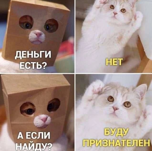 ДЕНЬГИ ЕСТЬ? НЕТ А ЕСЛИ НАЙДУ? БУДУ ПРИЗНАТЕЛЕН