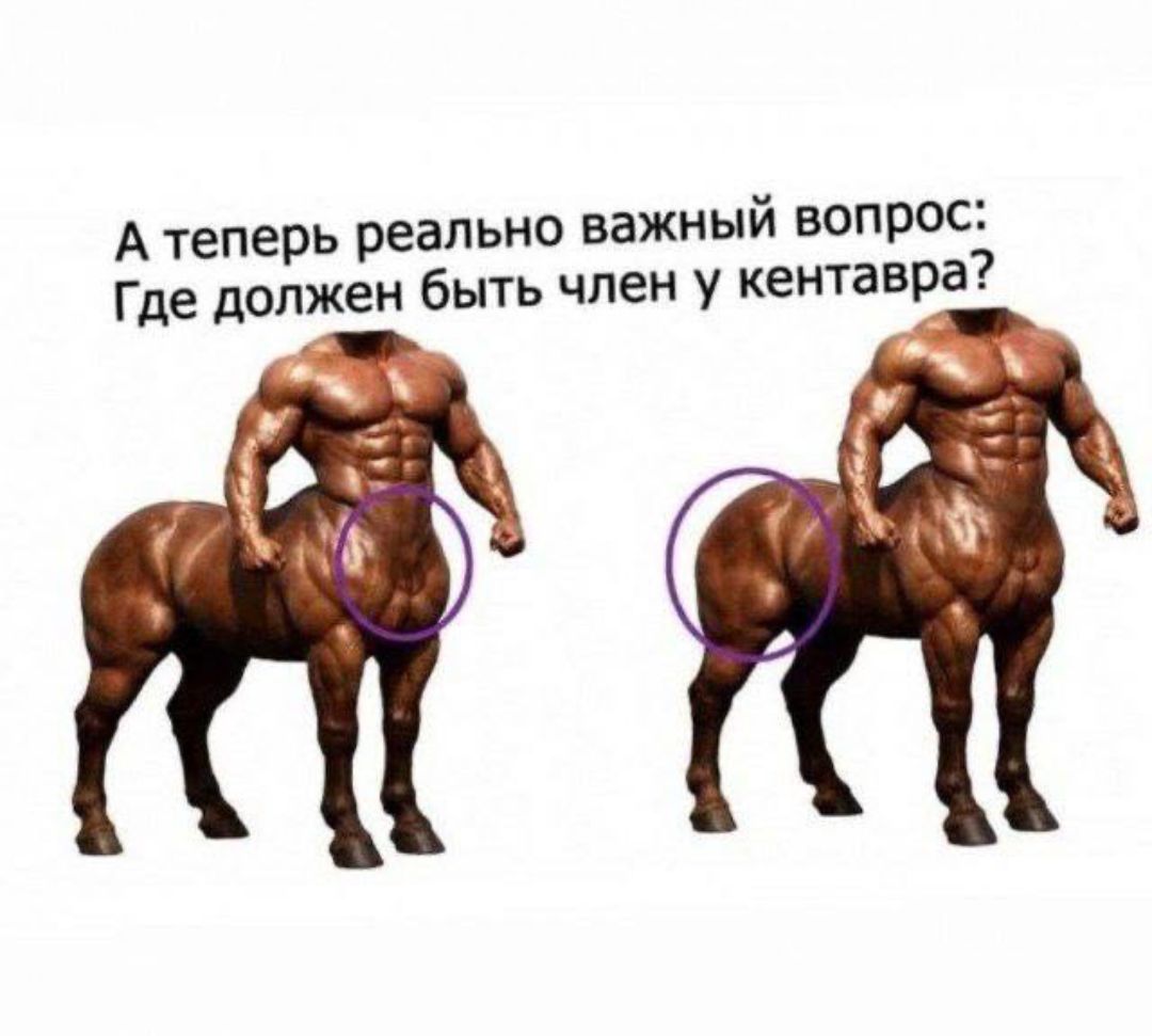 А теперь реально важный вопрос: Где должен быть член у кентавра?