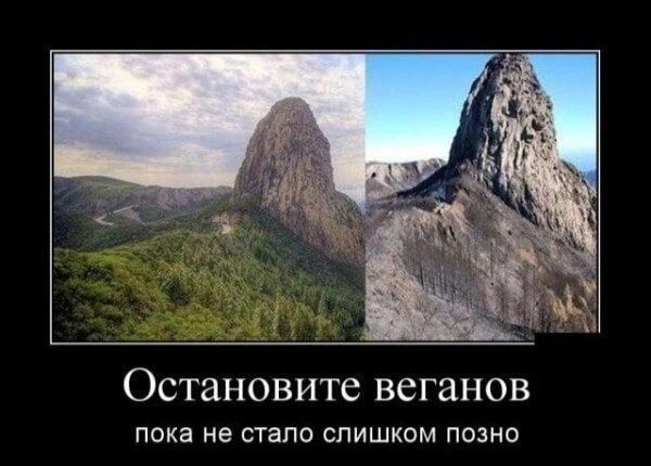 Остановите веганов пока не стало слишком поздно