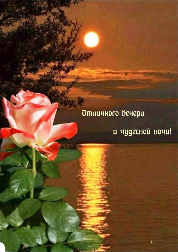 Отличного вечера и чудесной ночи!