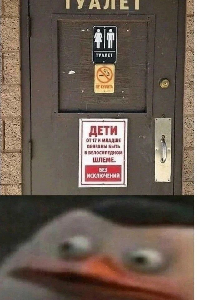 ТУАЛЕТ НЕ КУРИТЬ ДЕТИ ОТ 17 И МЛАДШЕ ОБЯЗАНЫ БЫТЬ В ВЕЛОСИПЕДНОМ ШЛЕМЕ. БЕЗ ИСКЛЮЧЕНИЙ. (Реакция утки)