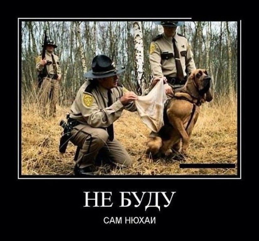 НЕ БУДУ САМ НЮХАЙ
