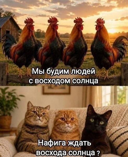 Мы будим людей с восходом солнца Нафига ждать восхода солнца?