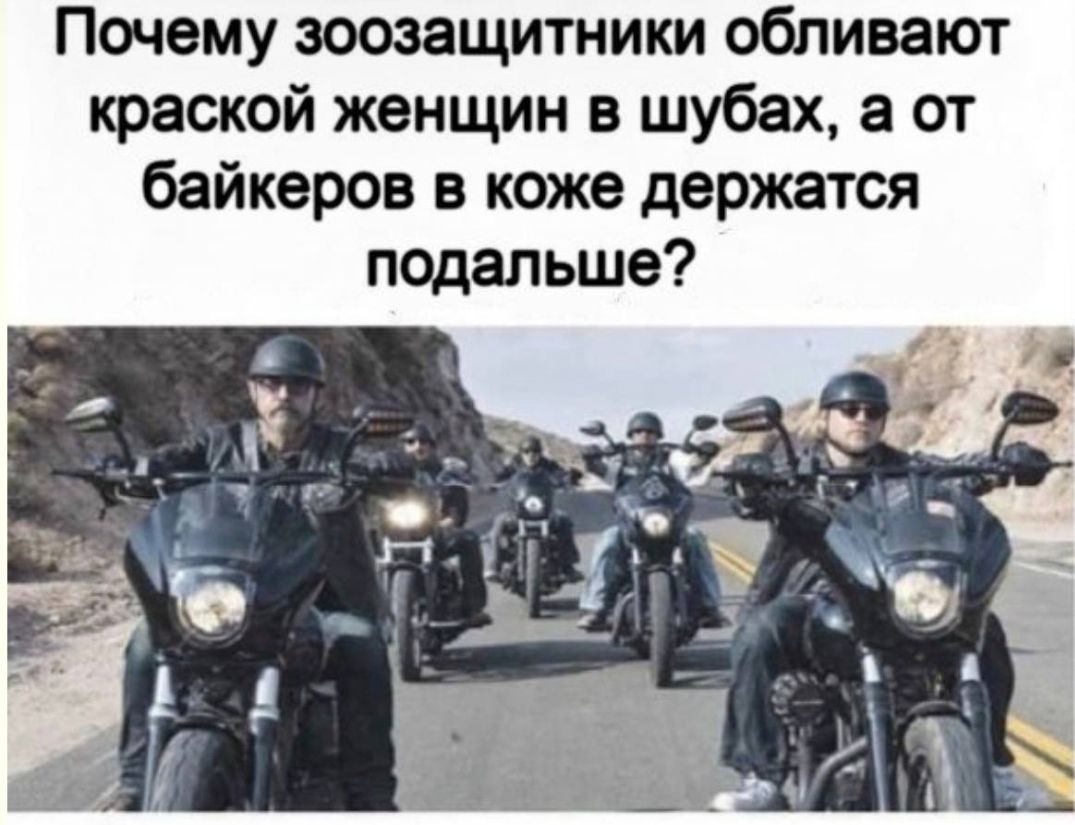 Почему зоозащитники обливают краской женщин в шубах, а от байкеров в коже держатся подальше?