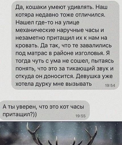 Да, кошки умеют удивлять. Наш котяра недавно тоже отличился. Нашел где-то на улице механические наручные часы и незаметно притащил их к нам на кровать. Да так, что те завалились под матрас в районе изголовья. Я тогда чуть с ума не сошел, пытаясь понять, что это за тикающий звук и откуда он доносится. Девушка уже хотела дурку мне вызывать. А ты