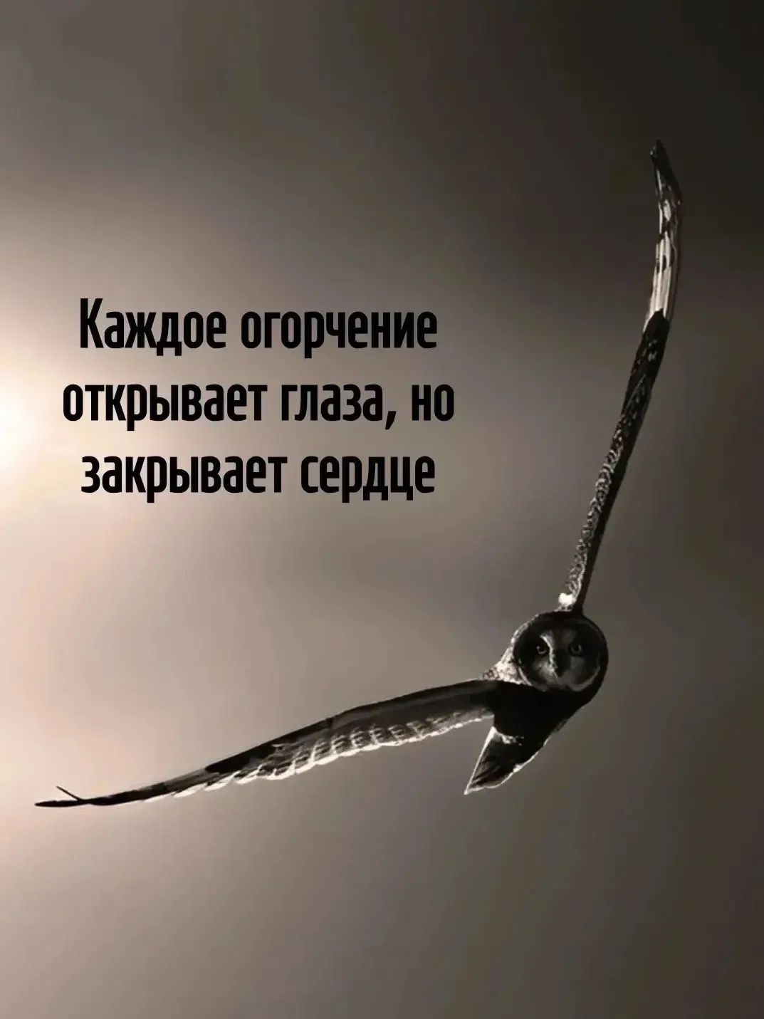 Каждое огорчение открывает глаза, но закрывает сердце