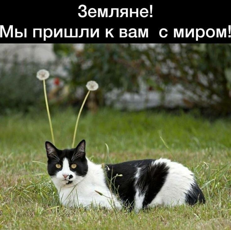 Земляне! Мы пришли к вам с миром!