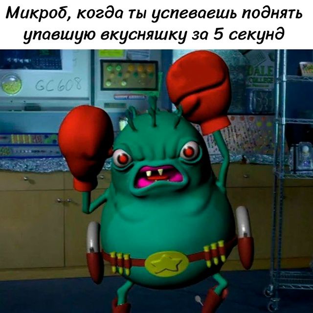 Микроб, когда ты успеваешь поднять упавшую вкусняшку за 5 секунд