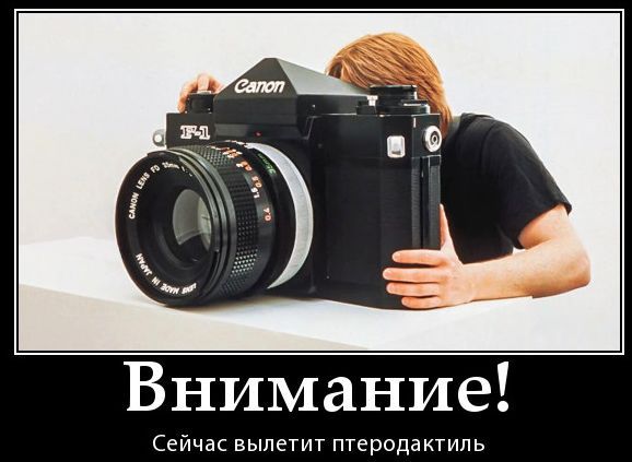 Внимание!
Сейчас вылетит птеродактиль