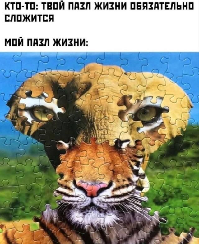 КТО-ТО: ТВОЙ ПАЗЛ ЖИЗНИ ОБЯЗАТЕЛЬНО СЛОЖИТСЯ МОЙ ПАЗЛ ЖИЗНИ: