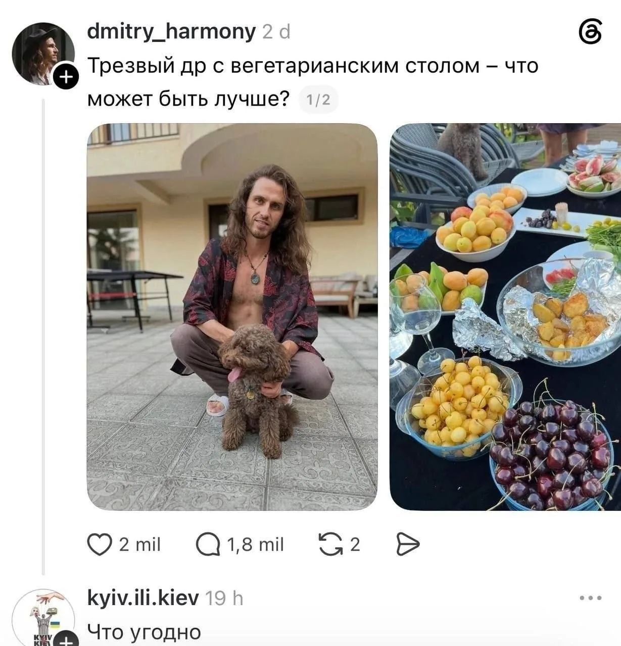 dmitry_harmony 2d Трезвый др с вегетарианским столом — что может быть лучше? 1/2 kyiv.ili.kiev 19 h Что угодно
