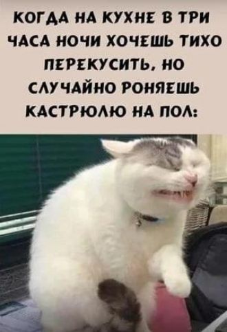 КОГДА НА КУХНЕ В ТРИ ЧАСА НОЧИ ХОЧЕШЬ ТИХО ПЕРЕКУСИТЬ, НО СЛУЧАЙНО РОНЯЕШЬ КАСТРЮЛЮ НА ПОЛ