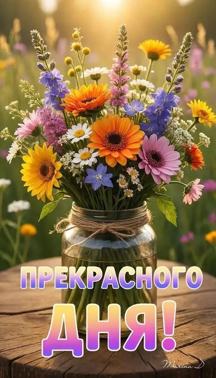 ПРЕКРАСНОГО ДНЯ!