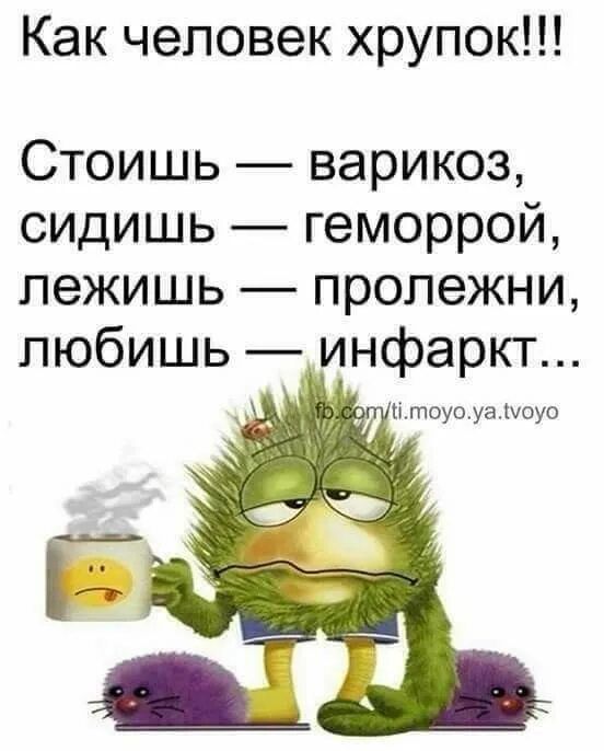 Как человек хрупок!!! Стоишь — варикоз, сидишь — геморрой, лежишь — пролежни, любишь — инфаркт...