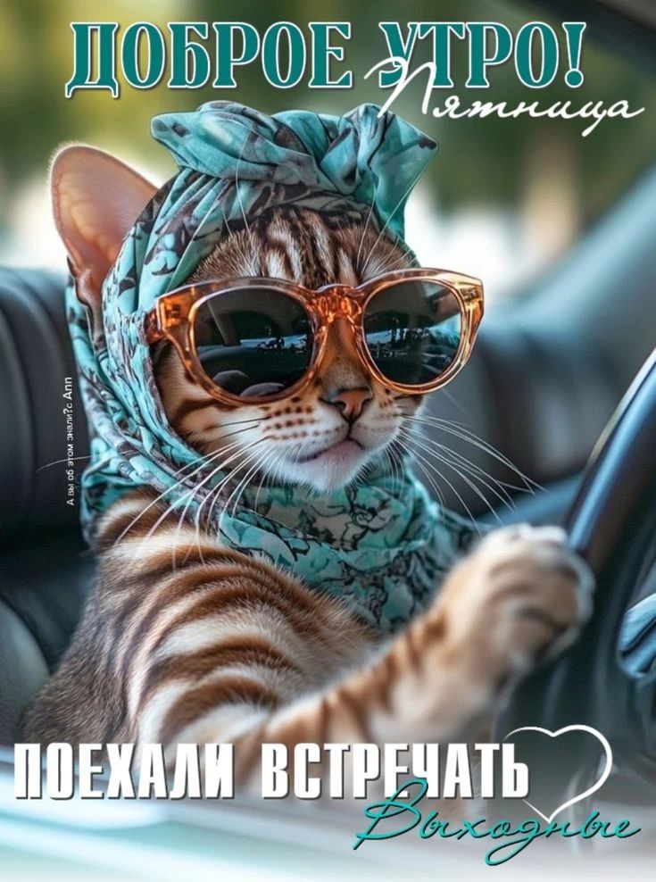 ДОБРОЕ УТРО! Пятница А вы об этом знали? Ann ПОЕХАЛИ ВСТРЕЧАТЬ Выходные