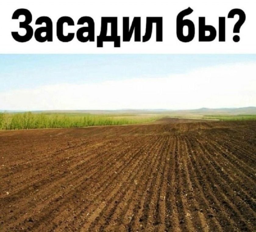 Засадил бы?