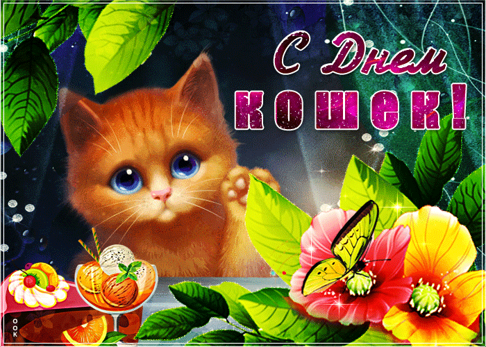С Днем кошек!