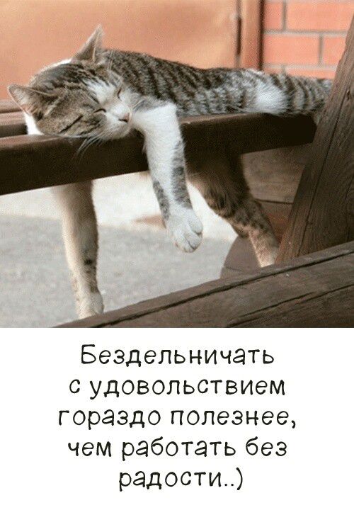 Бездельничать с удовольствием гораздо полезнее, чем работать без радости..)
