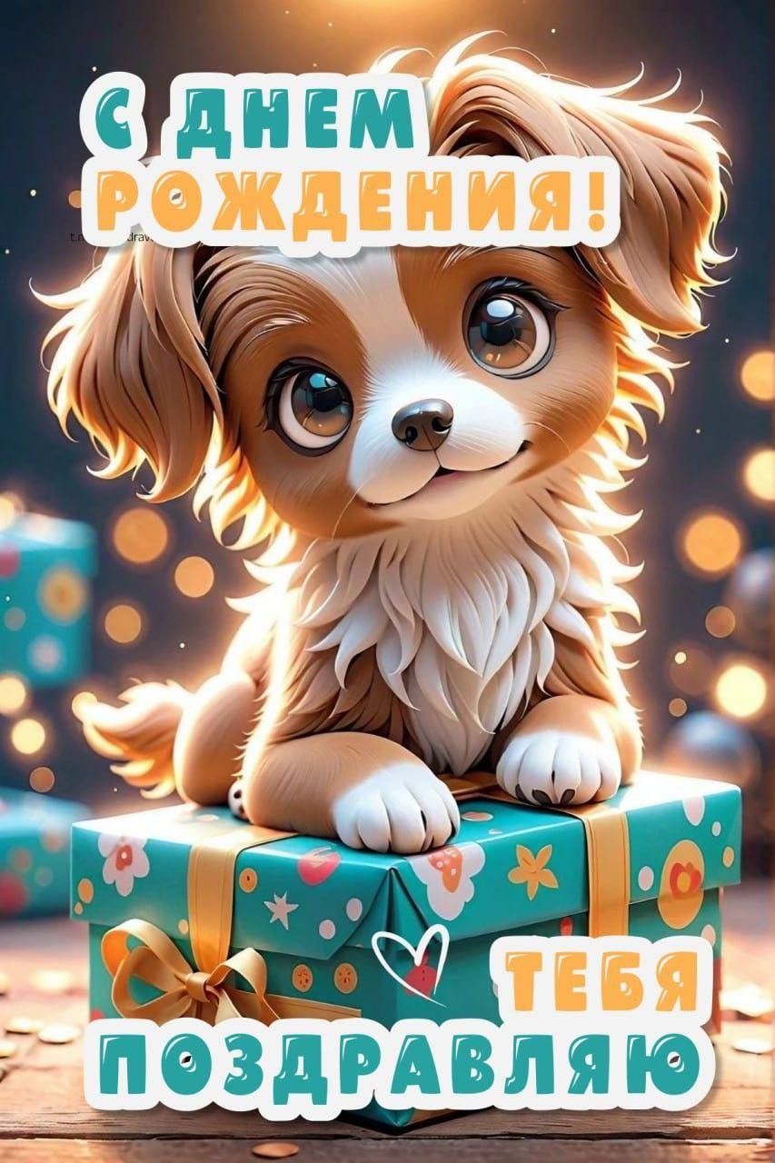С ДНЕМ РОЖДЕНИЯ! ТЕБЯ ПОЗДРАВЛЯЮ