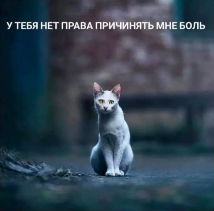 У ТЕБЯ НЕТ ПРАВА ПРИЧИНЯТЬ МНЕ БОЛЬ