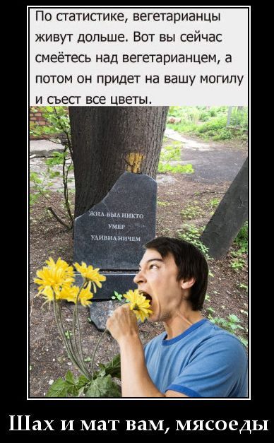 По статистике, вегетарианцы живут дольше. Вот вы сейчас смеетесь над вегетарианцем, а потом он придет на вашу могилу и съест все цветы. ЖИЛА-БЫЛА НИКТО УМЕР УДИВНА НИЧЕМ. Шах и мат вам, мясоеды