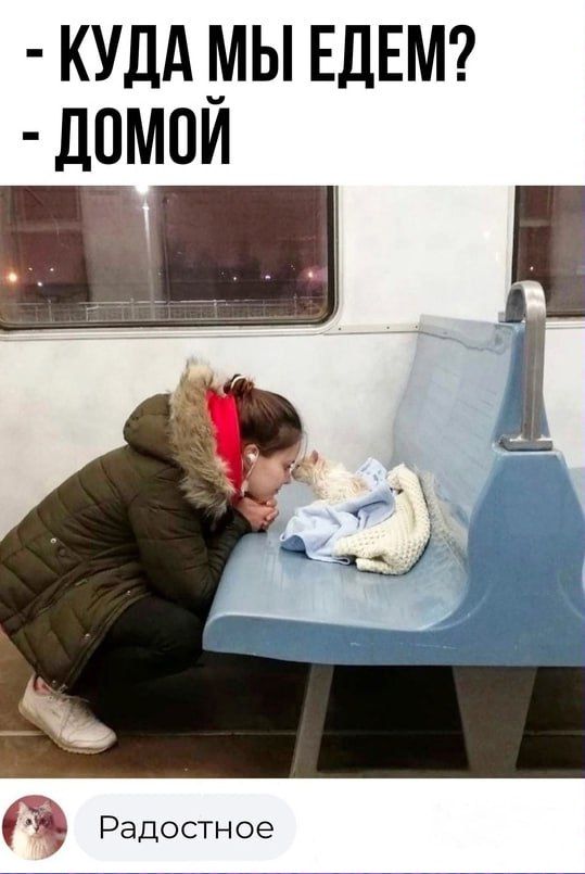 -КУДА МЫ ЕДЕМ? -ДОМОЙ Радостное