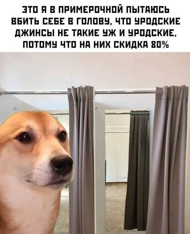 это я в примерочной пытаюсь вбить себе в голову, что уродские джинсы не такие уж и уродские, потому что на них скидка 80%
