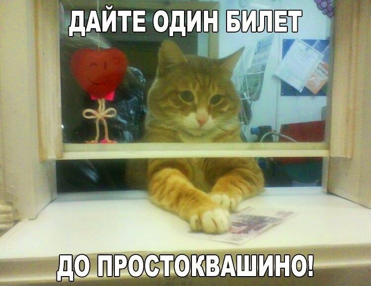ДАЙТЕ ОДИН БИЛЕТ ДО ПРОСТОКВАШИНО!
