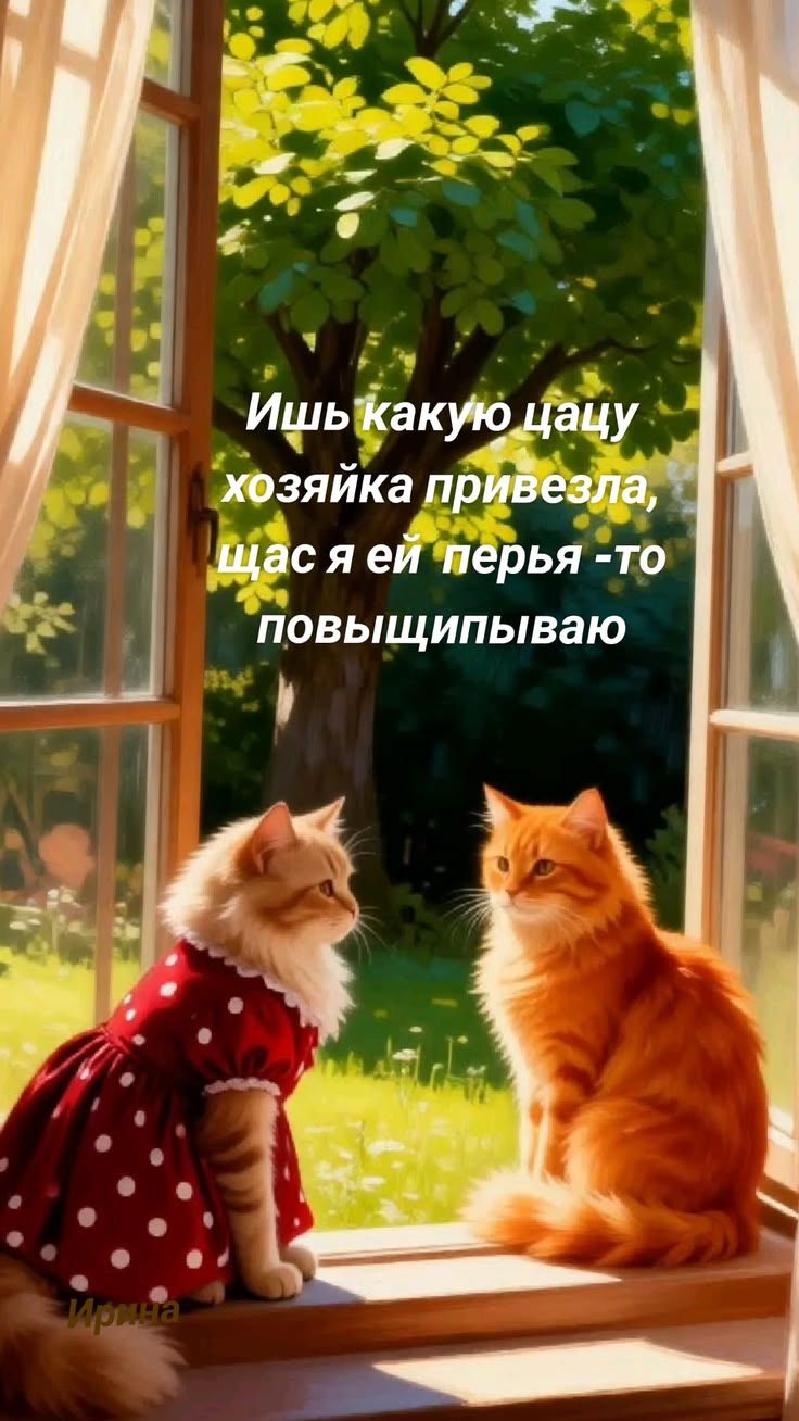 Ишь какую цацу хозяйка привезла, щас я ей перья-то повыщипываю