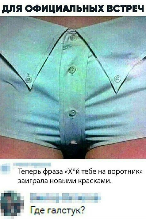 ДЛЯ ОФИЦИАЛЬНЫХ ВСТРЕЧ Теперь фраза «Х*й тебе на воротник» заиграла новыми красками. Где галстук?