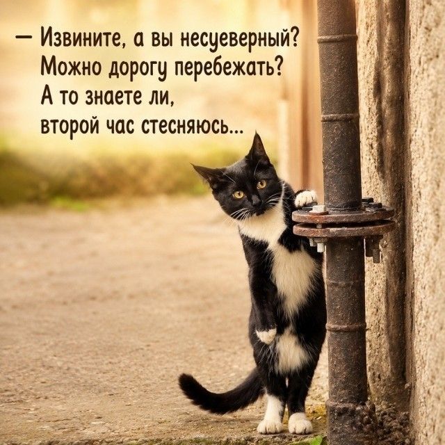 — Извините, а вы несуеверный? Можно дорогу перебежать? А то знаете ли, второй час стесняюсь...
