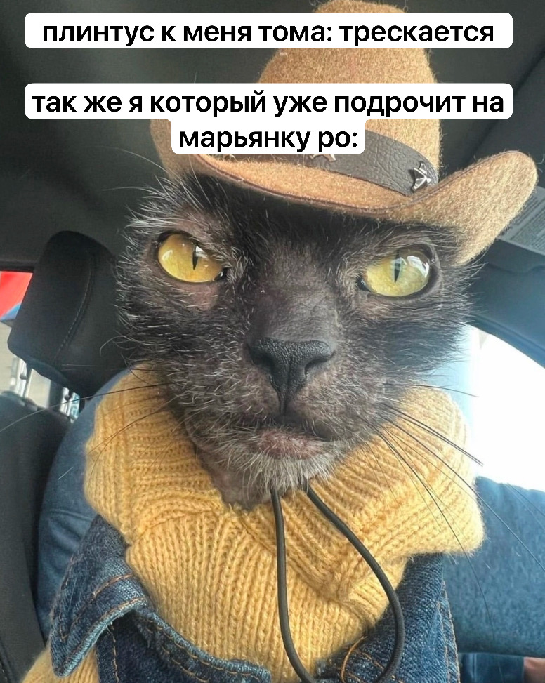 плинтус к меня тома: трескается так же я который уже подрочит на марьянку ро: