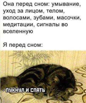 Она перед сном: умывание, уход за лицом, телом, волосами, зубами, масочки, медитации, сигналы во вселенную
Я перед сном:
- ПУКНУЛ И СПАТЬ