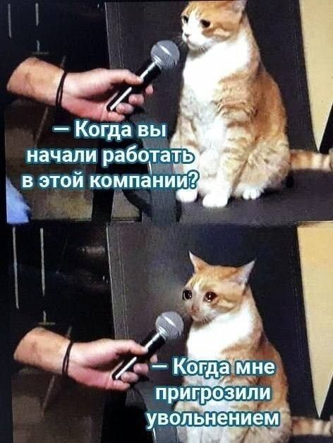 — Когда вы начали работать в этой компании? — Когда мне пригрозили увольнением