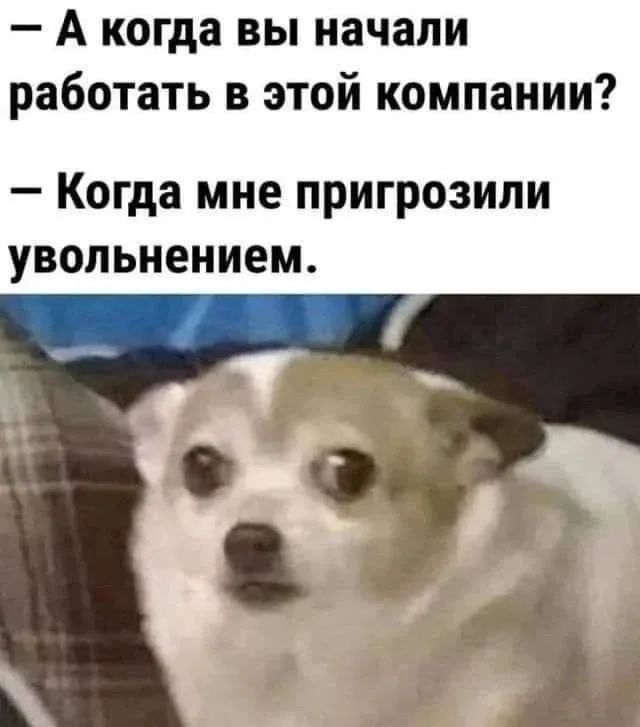 – А когда вы начали работать в этой компании?
– Когда мне пригрозили увольнением.