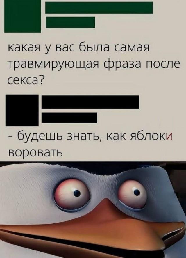 какая у вас была самая травмирующая фраза после секса? - будешь знать, как яблоки воровать