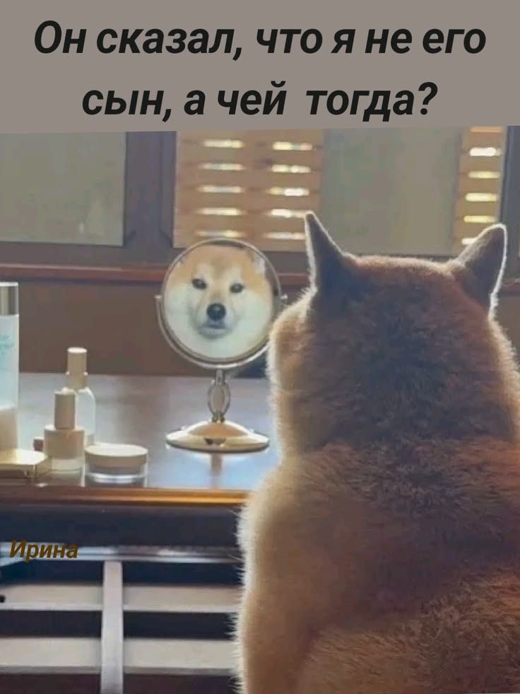 Он сказал, что я не его сын, а чей тогда?