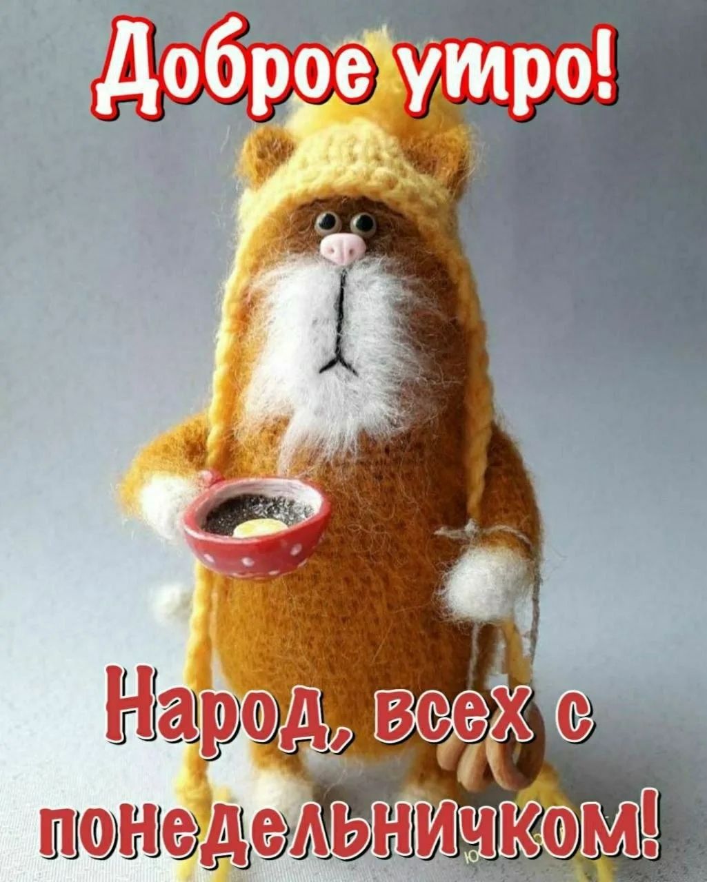 Доброе утро! Народ, всех с понедельничком!