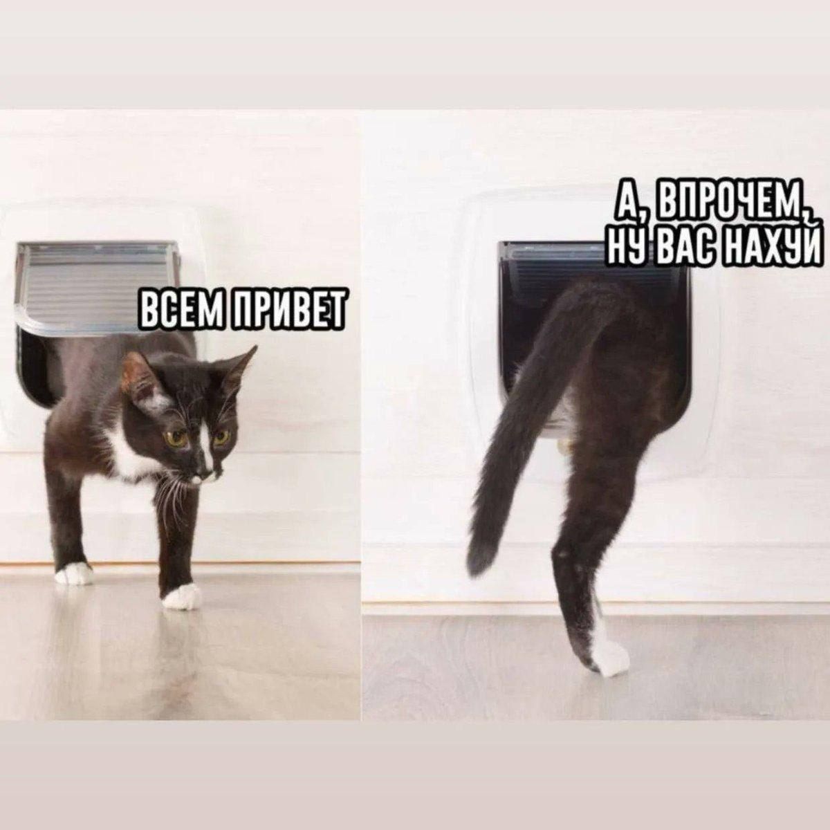 ВСЕМ ПРИВЕТ А, ВПРОЧЕМ, НУ ВАС НАХУЙ