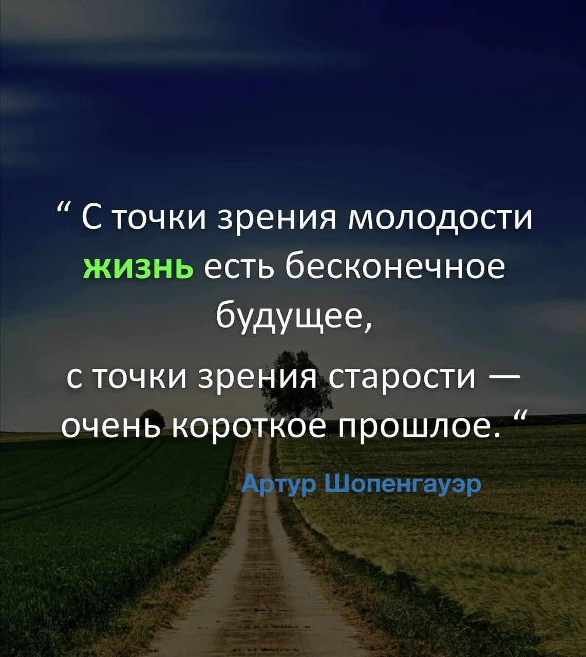 С точки зрения молодости жизнь есть бесконечное будущее, с точки зрения старости — очень короткое прошлое. Артур Шопенгауэр