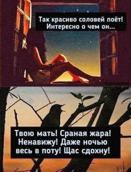 Так красиво соловей поёт! Интересно о чем он... Твою мать! Сраная жара! Ненавижу! Даже ночью весь в поту! Щас сдохну!