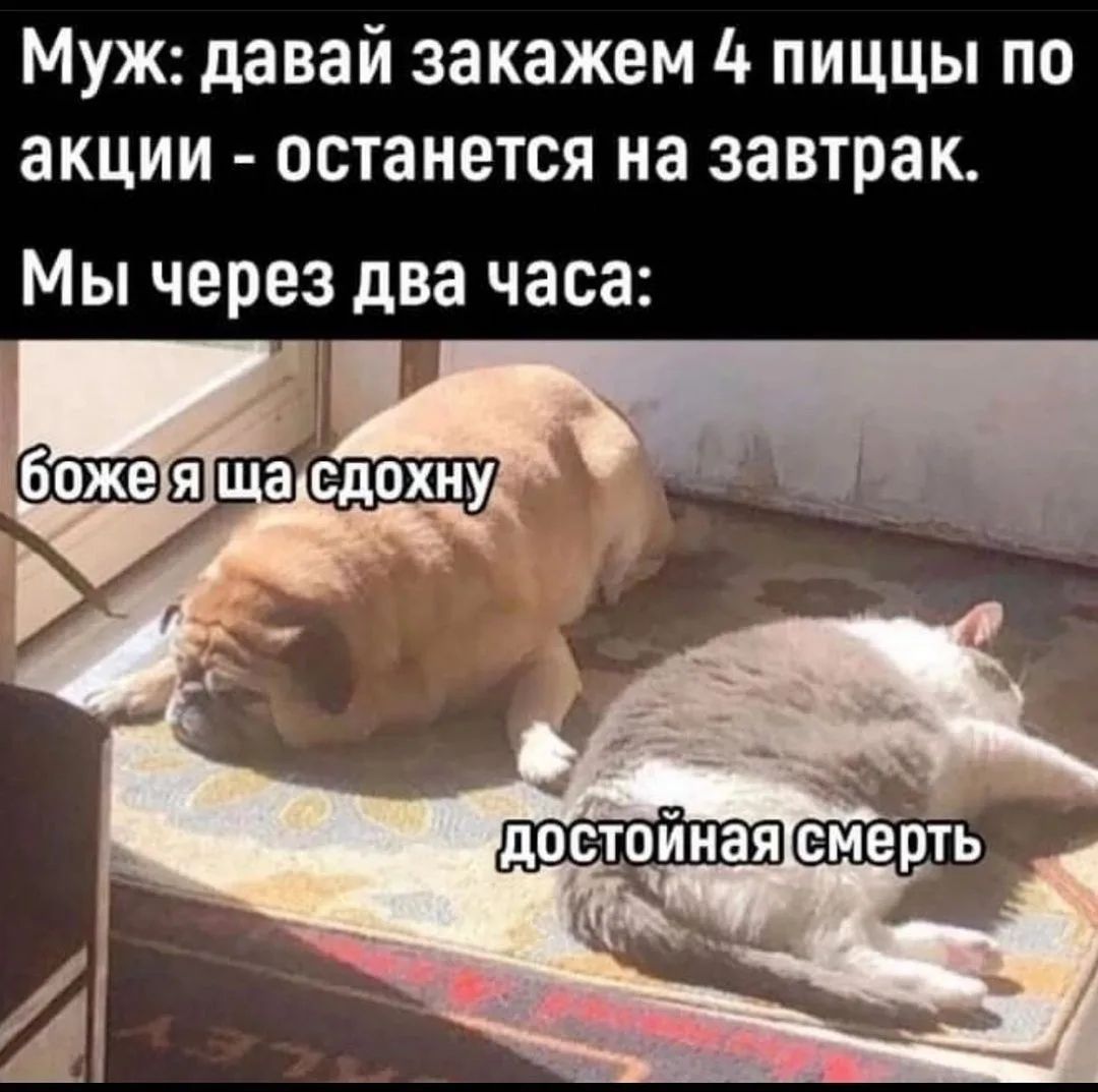 Муж: давай закажем 4 пиццы по акции - останется на завтрак. Мы через два часа: боже я ща сдохну достойная смерть