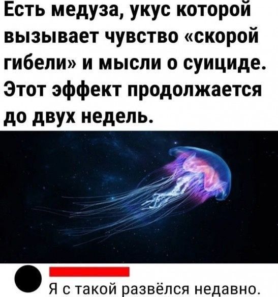 Есть медуза, укус которой вызывает чувство «скорой гибели» и мысли о суициде. Этот эффект продолжается до двух недель. Я с такой развёлся недавно.