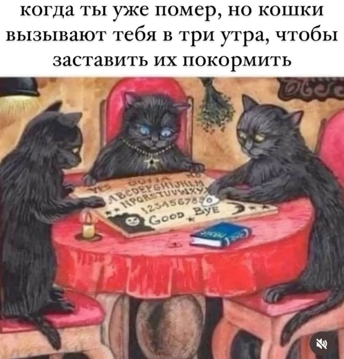 когда ты уже помер, но кошки вызывают тебя в три утра, чтобы заставить их покормить