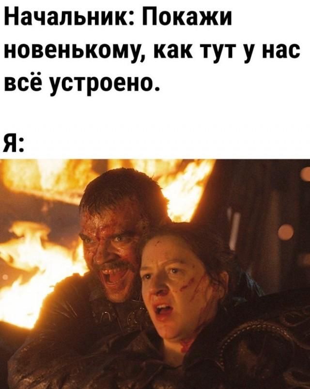 Начальник: Покажи новенькому, как тут у нас всё устроено. Я: