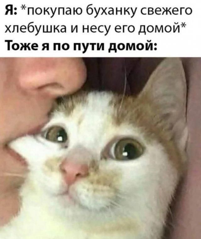 Я: *покупаю буханку свежего хлебушка и несу его домой* Тоже я по пути домой: