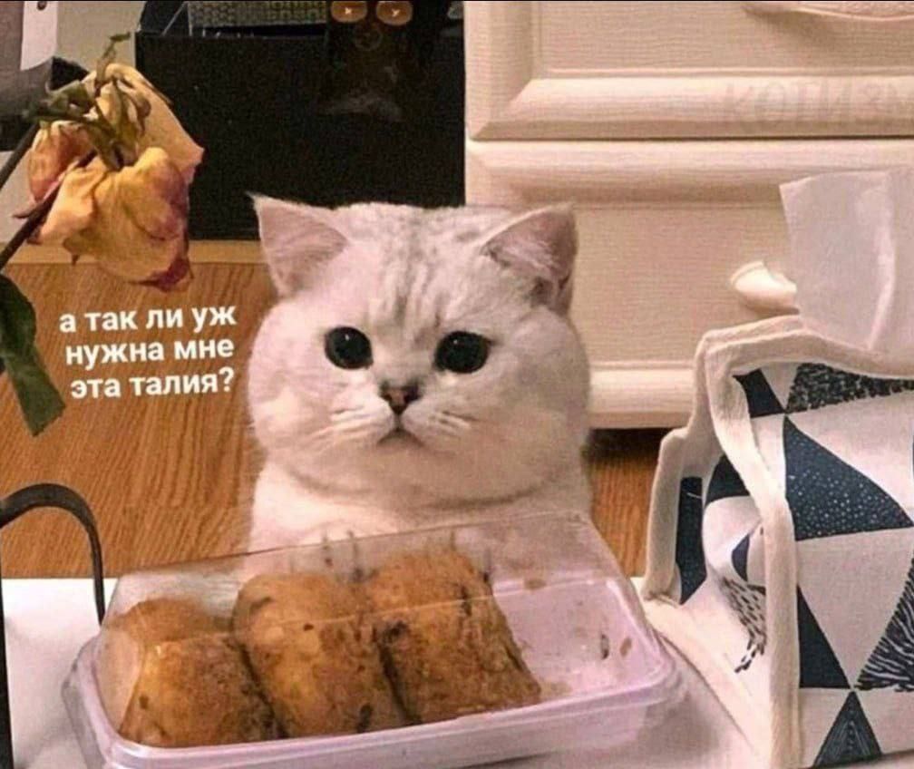 а так ли уж нужна мне эта талия?