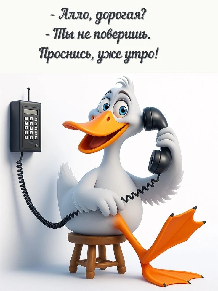 Алло, дорогая? Ты не поверишь. Проснись, уже утро!