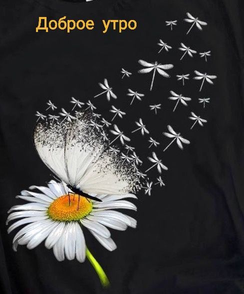 Доброе утро